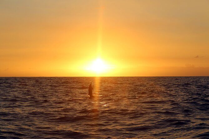 Oahu: Snorkel Sunset Cruise, Dolphin Watch with Hawaiian Buffet - Who Should Consider This Tour?