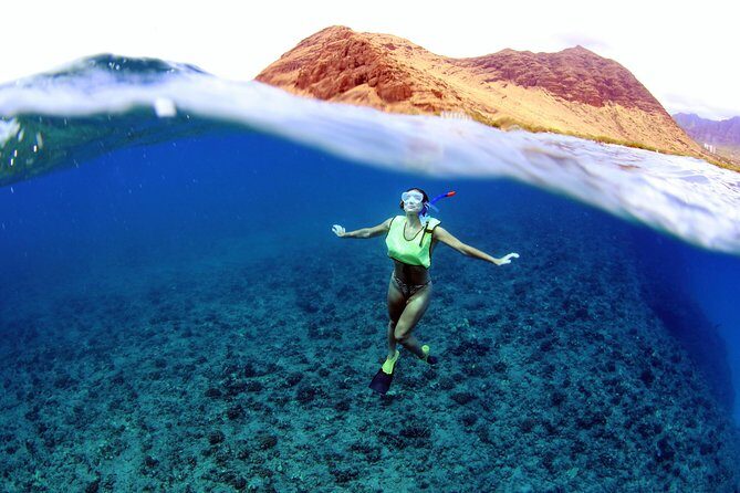 Oahu: Snorkeling and Dolphin Watch Cruise With Hawaiian Buffet - The Value of this Experience