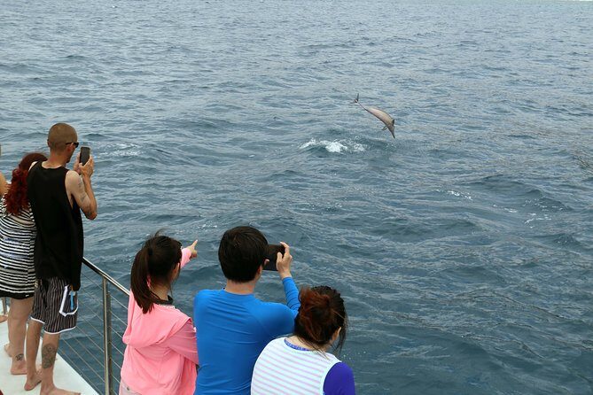 Oahu: Snorkeling and Dolphin Watch Cruise With Hawaiian Buffet - The Sum Up