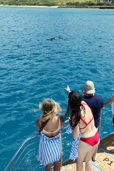 Oahu: Snorkeling & Dolphin Watch Cruise w/ Luau Style Buffet - Key Points