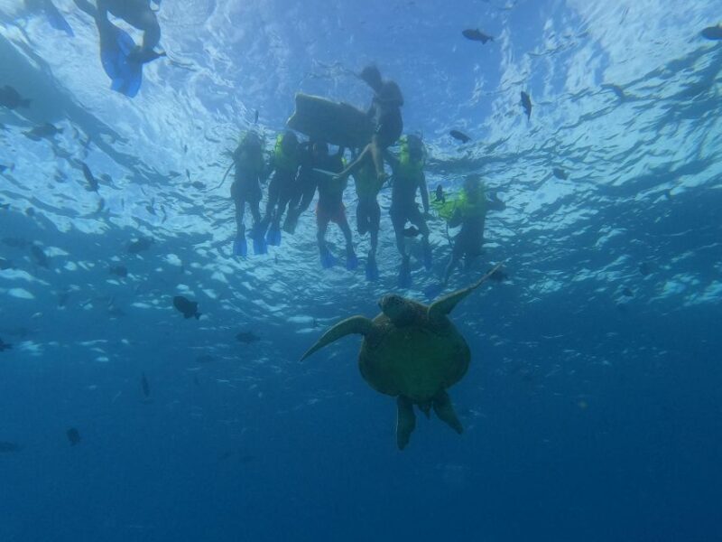 Oahu Snorkeling with Turtles, Water Scooter, Paddleboard - Deep Dive into the Experience