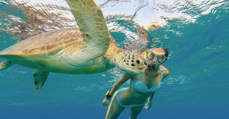 Oahu Snorkeling with Turtles, Water Scooter, Paddleboard - Is This Tour Worth It?