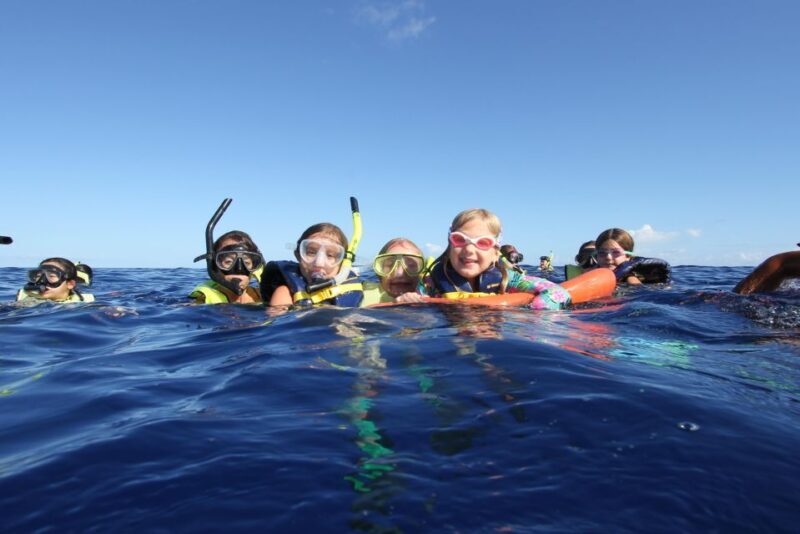 Oahu: Speedboat Snorkeling Adventure and Wild Dolphin Swim - Marine Encounters: Realistic Expectations and Highlights