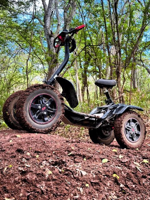 Oahu: Stand-Up ATV Adventure at Coral Crater Adventure Park - Real Traveler Feedback