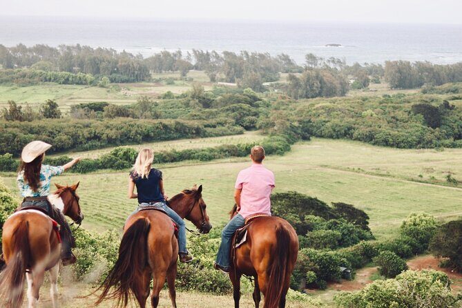 Oahu Sunset Horseback Ride - The Sum Up: Is It Worth It?