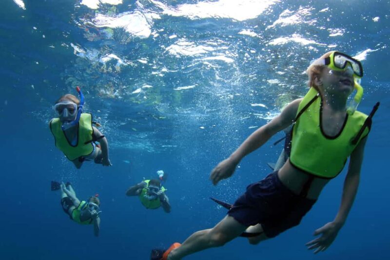 Oahu: Sunset Snorkeling, Dolphin Watch Cruise, Hawaiian meal - Practical Details and Value