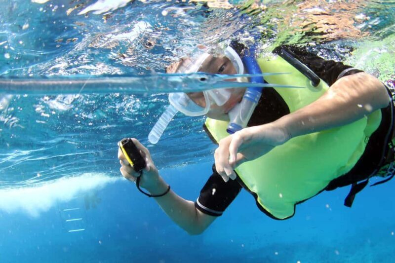 Oahu: Sunset Snorkeling, Dolphin Watch Cruise, Hawaiian meal - Final Thoughts