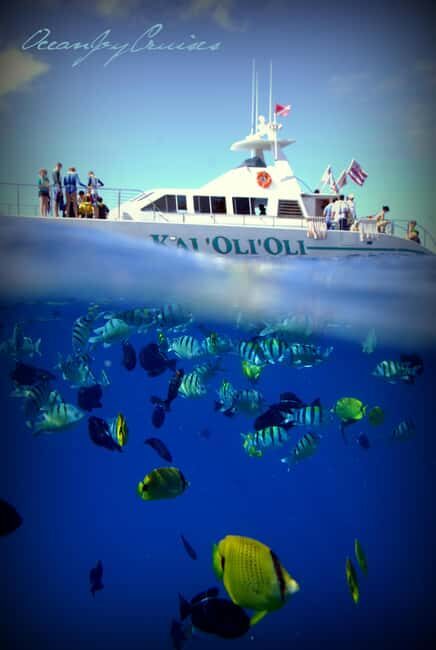 Oahu: Sunset Snorkeling, Dolphin Watch Cruise, Hawaiian meal - FAQ