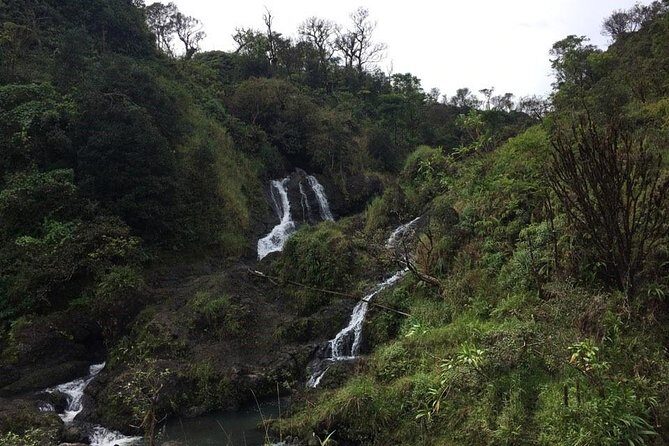 Oahu to Maui 1 Day Trip : Road to Hana Day Trip from Oahu with Air Ticket - Introduction