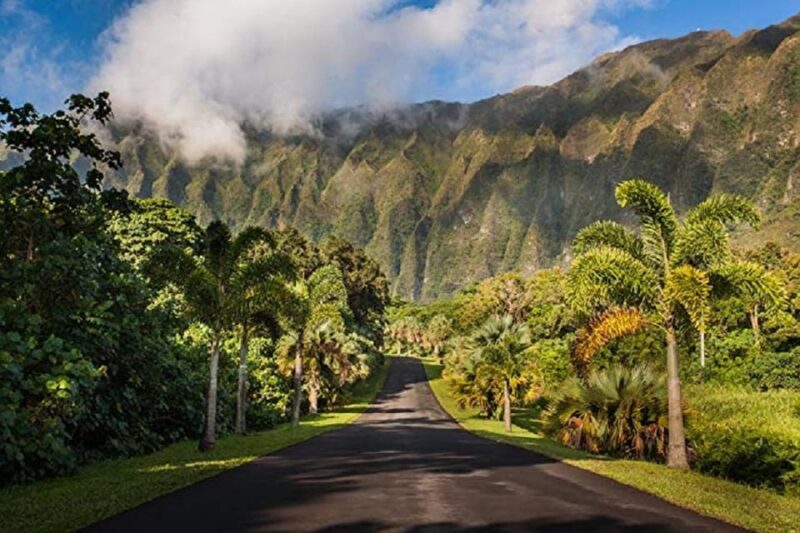 Oahu Top 13 Things to See Slingshot Aloha Tour - Who Should Consider This Tour?