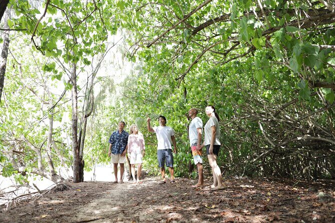 Oahu Uncovered: Full Island Tour with a Local Guide - Who Is This Tour Best For?