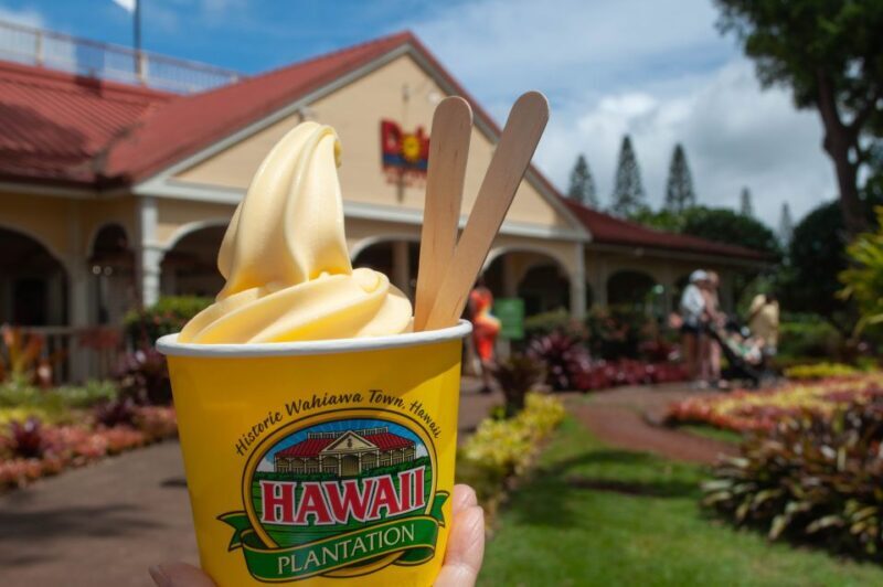 Oahu: Valley of Waimea Falls Swim & Hike with Lunch & Dole - The Sum Up