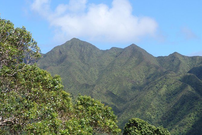 Oahu Volcanic Rainforest Hiking Adventure - An In-Depth Look at the Experience