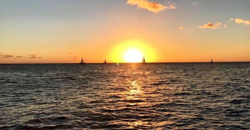 Oahu: Waikiki Glass Bottom Boat Sunset Cruise - The Experience from Guest Perspectives