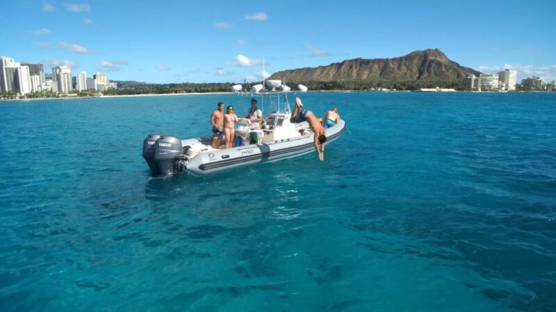 Oahu: Waikiki Private Snorkeling and Wildlife Boat Tour - The Sum Up
