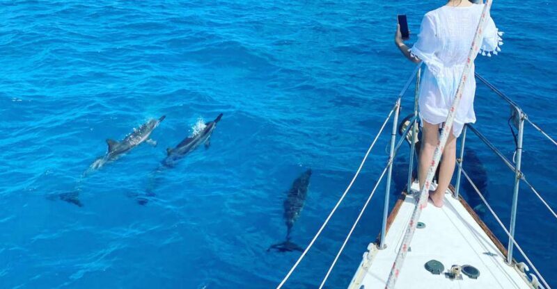 Oahu : Waikiki sailing turtle snorkeling in small groups - The Itinerary: What to Expect