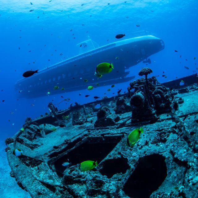 Oahu: Waikiki Submarine Tour - Who Will Love This Experience?