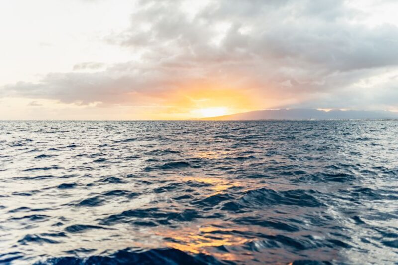 Oahu: Waikiki Sunset Catamaran Cocktail Cruise - Is It Worth the Price?