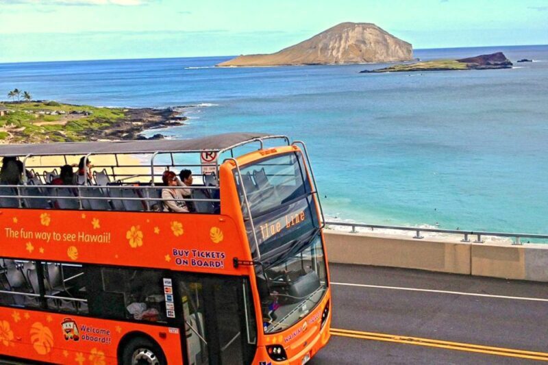 Oahu: Waikiki Trolley Hop-on Hop-off All-Line Pass - The Experience: What to Expect