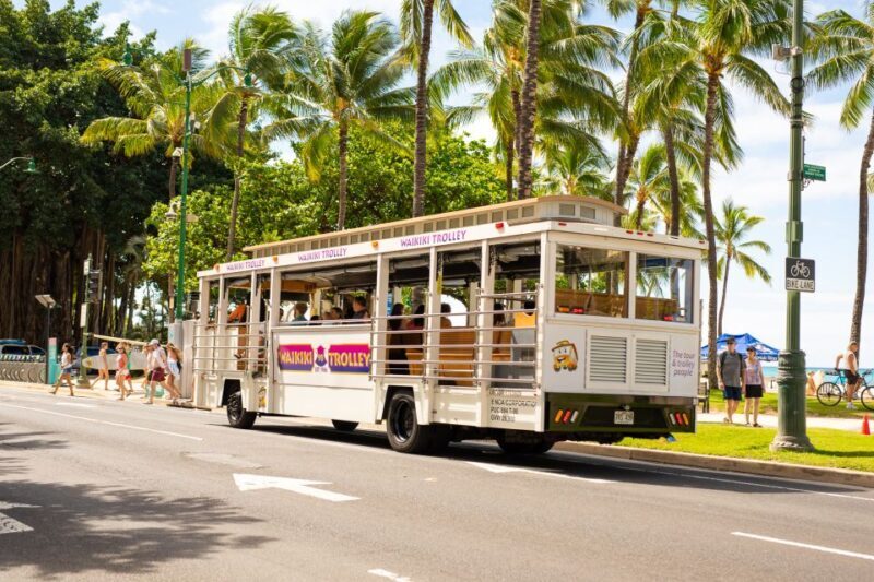 Oahu: Waikiki Trolley Hop-on Hop-off All-Line Pass - Authentic Traveler Perspectives
