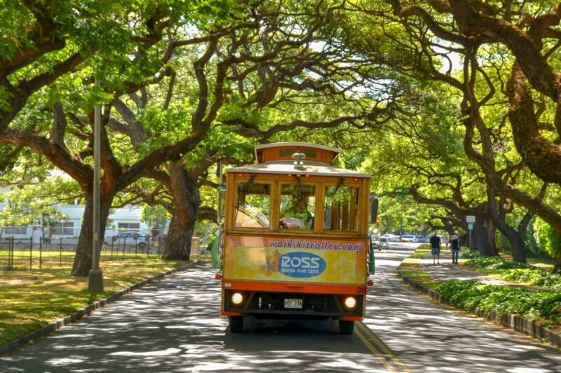 Oahu: Waikiki Trolley Hop-on Hop-off All-Line Pass - Who Should Consider This Tour?