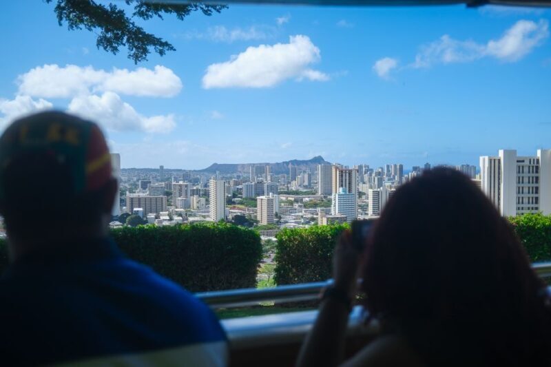 Oahu: Waikiki Trolley Hop-on Hop-off All-Line Pass - The Sum Up: Who Will Benefit Most?