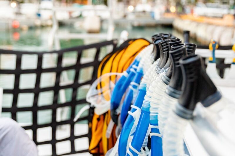 Oahu: Waikiki Turtle Canyons Cruise and Snorkel Excursion - The Itinerary: What You Can Expect