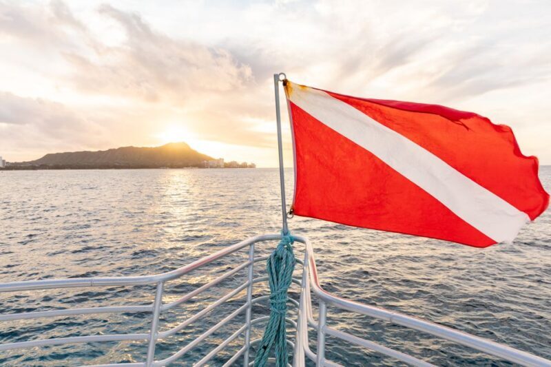 Oahu: Waikiki Turtle Canyons Cruise and Snorkel Excursion - What the Reviews Say: Authentic Perspectives