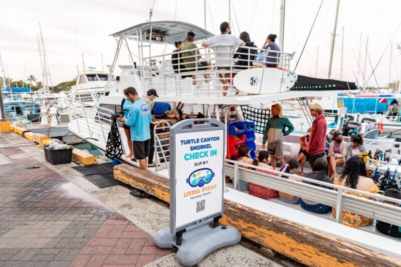 Oahu: Waikiki Turtle Canyons Cruise and Snorkel Excursion - Who Should Consider This Tour?