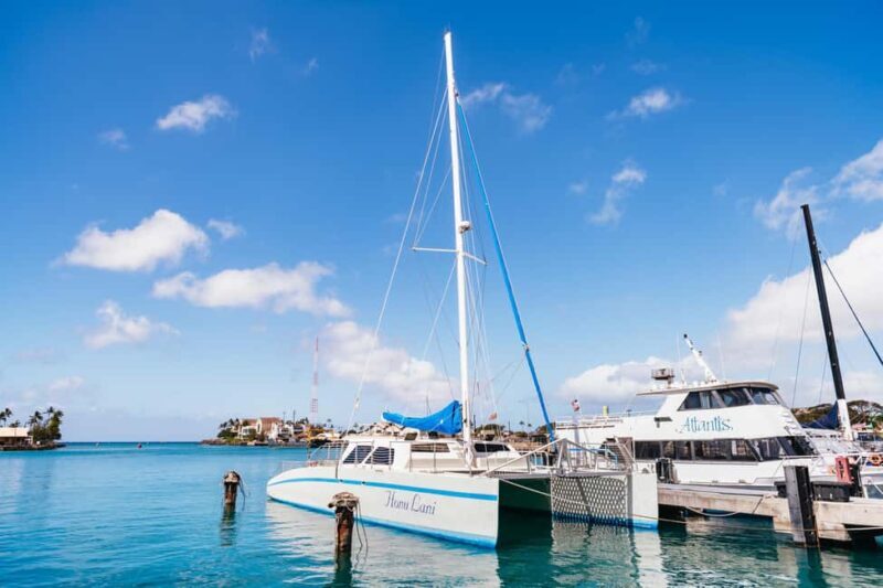 Oahu: Waikiki Turtle Snorkel Sail - An In-Depth Look at the Waikiki Turtle Snorkel Sail