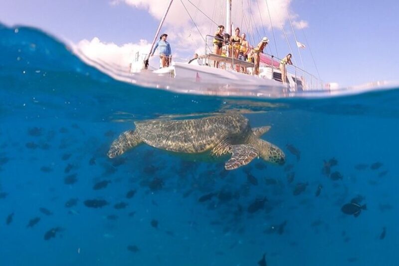 Oahu: Waikiki Turtle Snorkeling Adventure Cruise - Exploring the Experience
