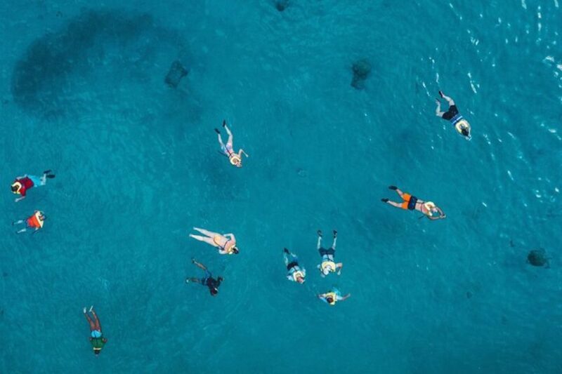 Oahu: Waikiki Turtle Snorkeling Adventure Cruise - Practical Tips for Travelers