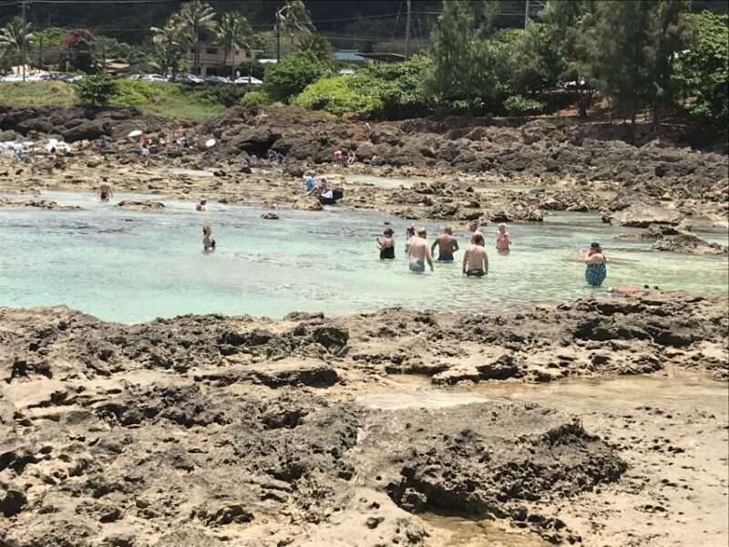 Oahu: Waimea Falls & valley & North Shore day - A Comprehensive Look at the Experience