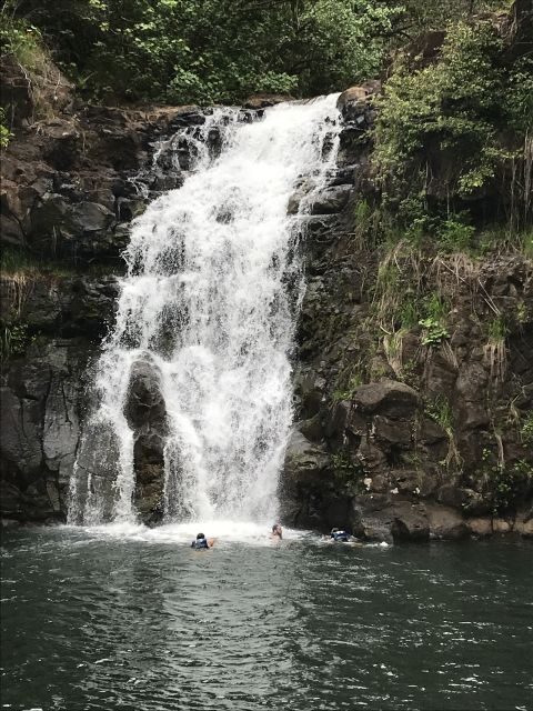 Oahu: Waimea Falls & valley & North Shore day - Practical Details and Tips