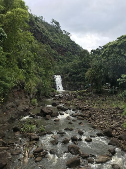 Oahu: Waimea Falls & valley & North Shore day - Who Would Love This Tour?