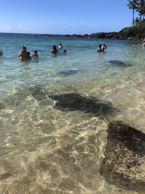 Oahu: Waimea Falls & valley & North Shore day - Final Thoughts