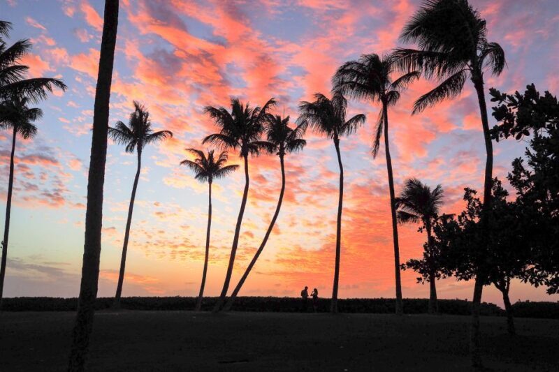 Oahu: West Oahu Sunset Cruise with Cocktails and Appetizers - An Authentic Sunset Experience on the Water