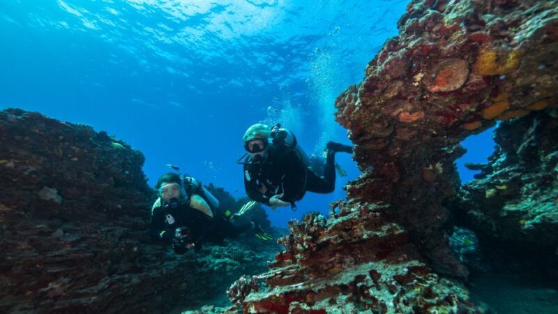 Oahu: Wreck & Reef Scuba Dive for Certified Divers - What the Reviews Say