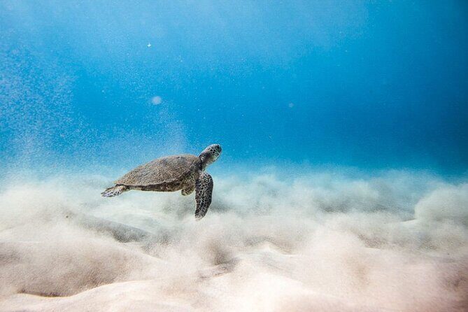 Oahu's Cheapest Circle Island Tour - An Honest Breakdown of the Itinerary