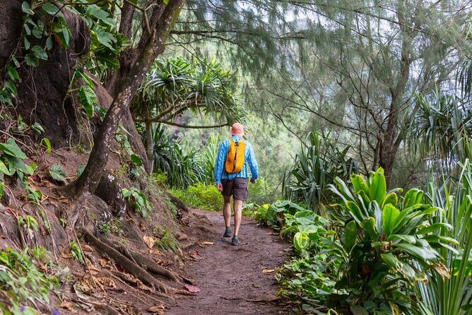 Oahu's North Shore Self-Guided Audio Tour - Key Points