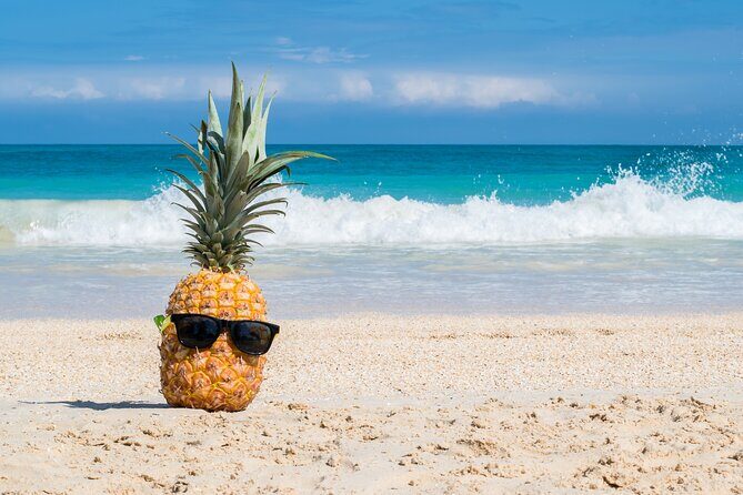 Oahu's Ultimate Grand Circle Island Tour with Snorkeling and More - What You’ll Take Away from This Tour