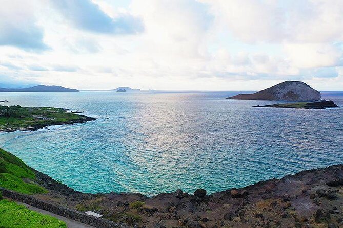 Oahu's Ultimate Tour: Dole, Turtle Snorkel, Pali Lookout & More - A Deep Dive into the Oahu Circle Island Tour