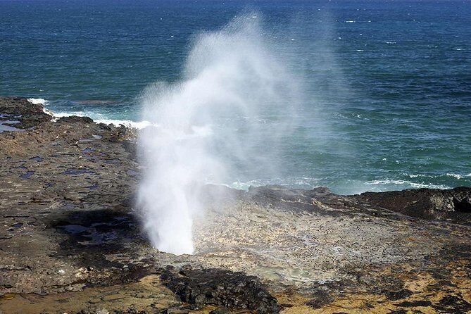Oahu's Ultimate Tour: Dole, Turtle Snorkel, Pali Lookout & More - FAQs