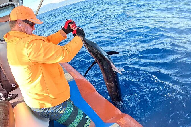Oahu's Unique Whale Watching and Fishing Charter - An In-Depth Look at the Experience