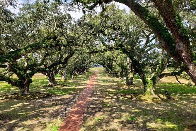 Oak Alley and Laura Plantation Tour with Transportation from New Orleans - FAQs