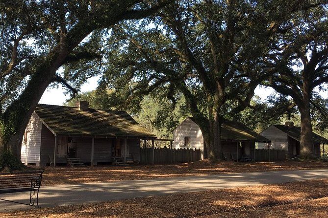 Oak Alley or Laura Plantation Tour from New Orleans - Who Should Consider This Tour?