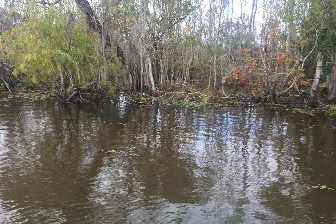 Oak Alley Plantation & Airboat Tours - Final Thoughts