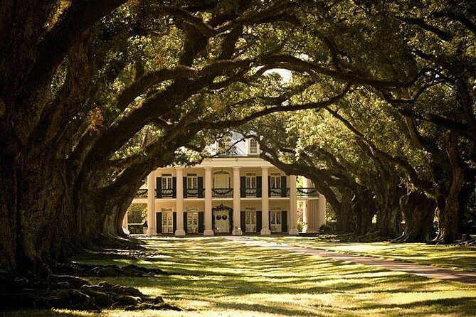 Oak Alley Plantation and 3-Hour New Orleans City/Cemetery Tour - Final Thoughts: Who is This Tour Best For?