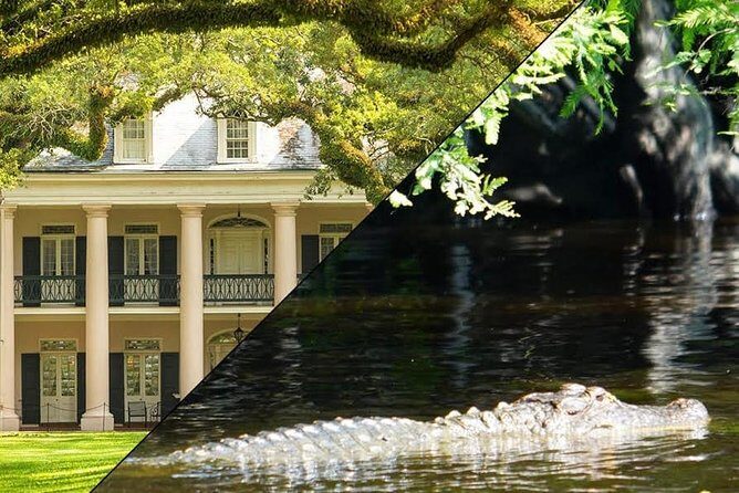 Oak Alley Plantation and Swamp Boat Tour from New Orleans - Navigating the Barataria Swamps
