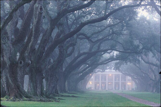 Oak Alley Plantation Half Day Tour - FAQs